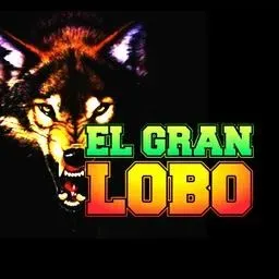 El Gran Lobo en vivo