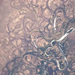 Abandoned Meanders