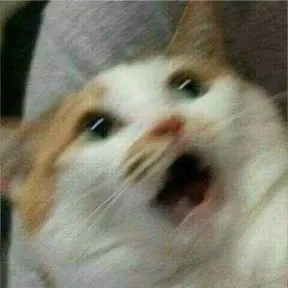 Vexiss