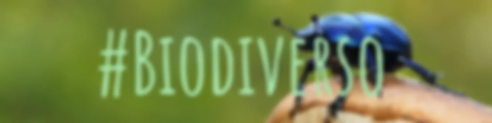 #Biodiverso