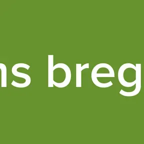 radio ms brega show