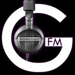 GAPFM