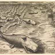 Lokkede strandede hvaler mennesker til Vendsyssel for 14.000 år siden?