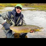 El Campanu del Ulla, es devuelto a sus aguas por un acto de conservación por Miguel Muiños en 2024. Volverá a suceder?