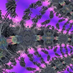 Psychedelic Connection