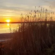 VIENTO DE LEBECHE T03C044 Aquel verano ancestral (01/07/2024)