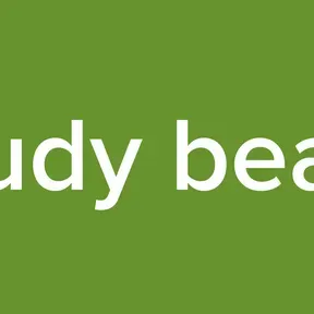study beats