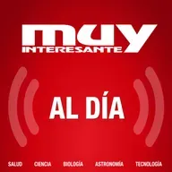 ¿Sabes identificar qué te quiero decir tu perro con la mirada?