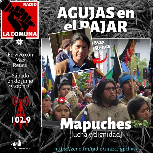 MAPUCHES, lucha y dignidad