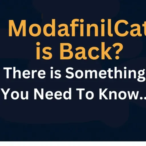 Seized by the FBI and Now They're Back? The Truth About ModafinilCat