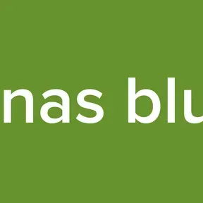 Annas blues