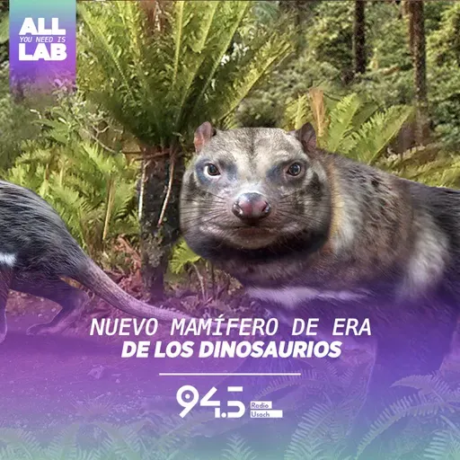 Nuevo mamífero de era de los dinosaurios