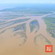 $8B Of Climate Tech Projects Canceled | In Louisiana, A Successful, Growing Wetland
