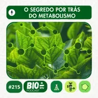 215 - O segredo por trás do metabolismo