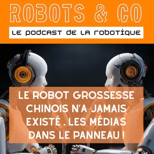 Le robot grossesse chinois n’a jamais existé