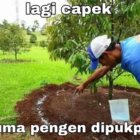 Saung Radio