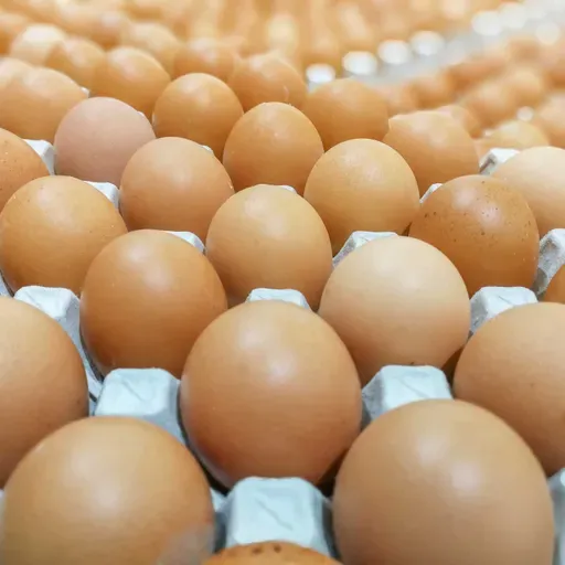 España se mantiene ajena a la crisis del huevo
