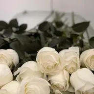 Кира Логинова. Вы вправду любите меня