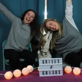 Grises