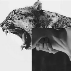 Alejandro
