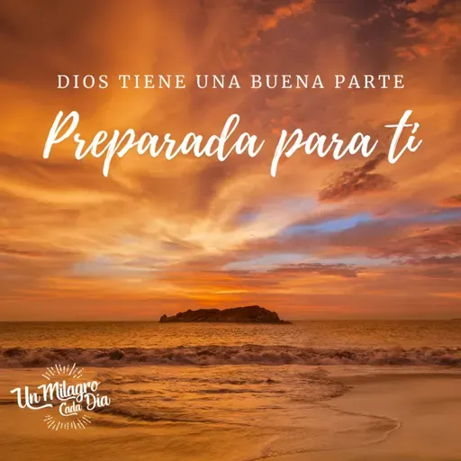 🪴 La buena parte