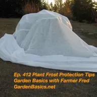 412 Plant Frost Protection Tips