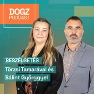 Valóban mindenkinek való a tacskó?