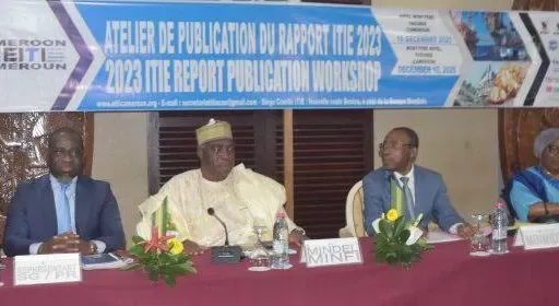 CAMEROUN: CHUTE DRASTIQUE DE 7,5% DES REVENUS DU SECTEUR EXTRACTIF