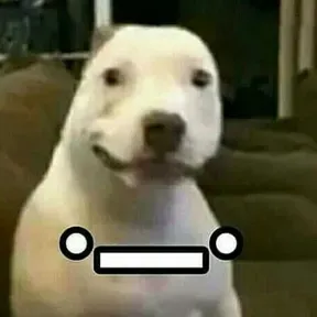 Nosexd