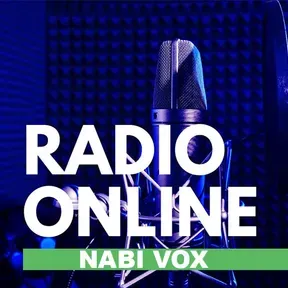 Radio 91.3 FM