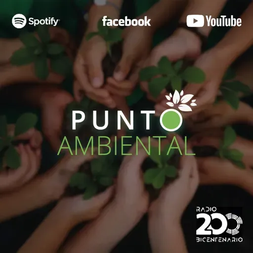 Punto ambiental 14.11.22