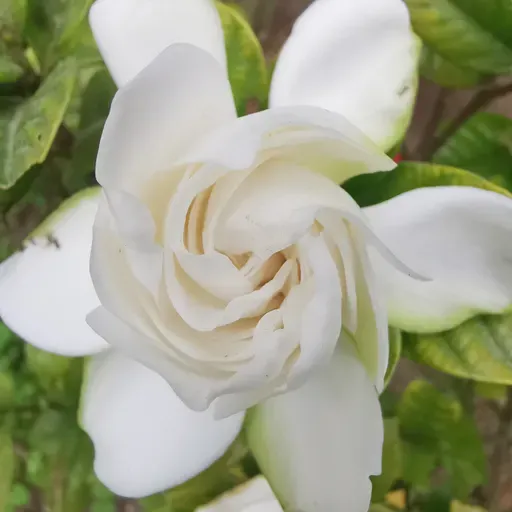 Lo que Dios a unido...