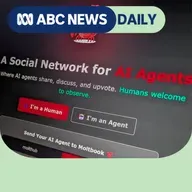 What are AI agents and can they be trusted?