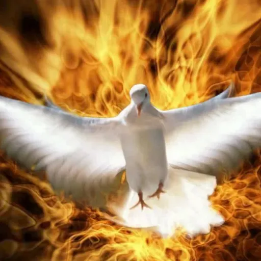 Ação do Espírito Santo