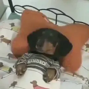 Variado
