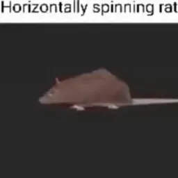 Radical Rats Podcast (ZenoFM)