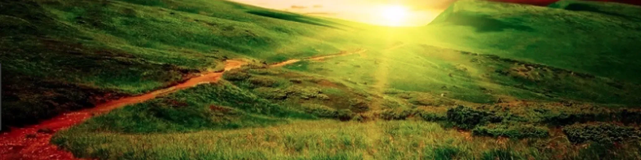 Ministerio Radial Cristiano Alfa y Omega