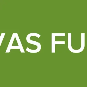 NOVAS FUGAS