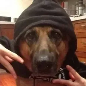 Detodounpoco