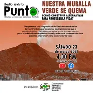 T3P2 - Nuestra muralla verde se quema