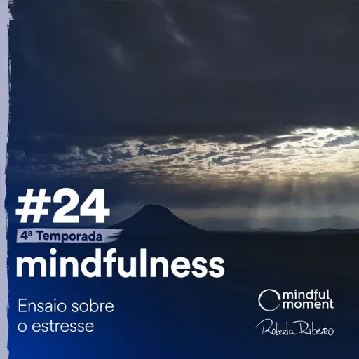 S4 E24 - Ensaio sobre o estresse