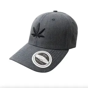 CannaSur