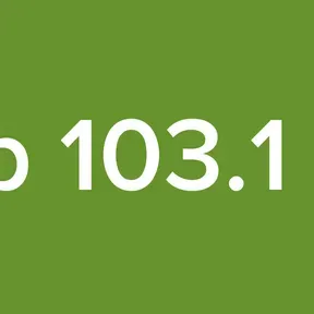 Top 103.1 FM