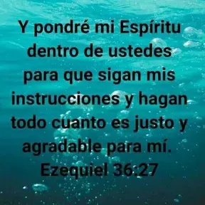 El Cielo Aqui 1
