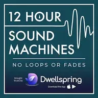Thailand Swamp Frogs at Night Sound Machine (12 Hours)