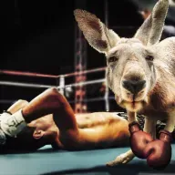 Womöglich versetzt Netflix dem Kino den Todesstoss