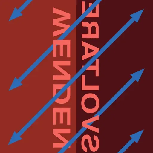 #15 Real men are feminists – Lukas Schwienbacher