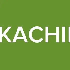 DIKACHIFY