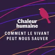 Le moineau - Comment le vivant peut nous sauver (5/6)