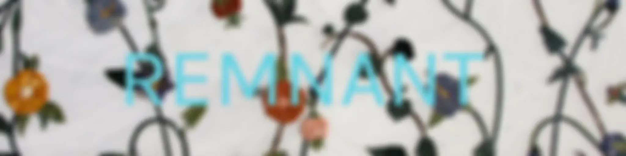 REMNANT : You Are Precious